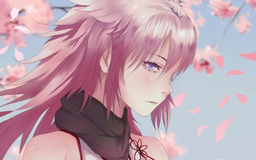 boxmoe_header_banner_img