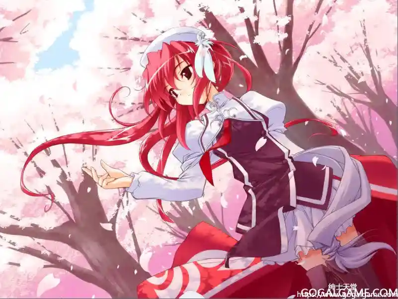 [PULLTOP] 遥仰凰华