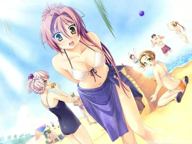 [SofthouseChara] 王贼