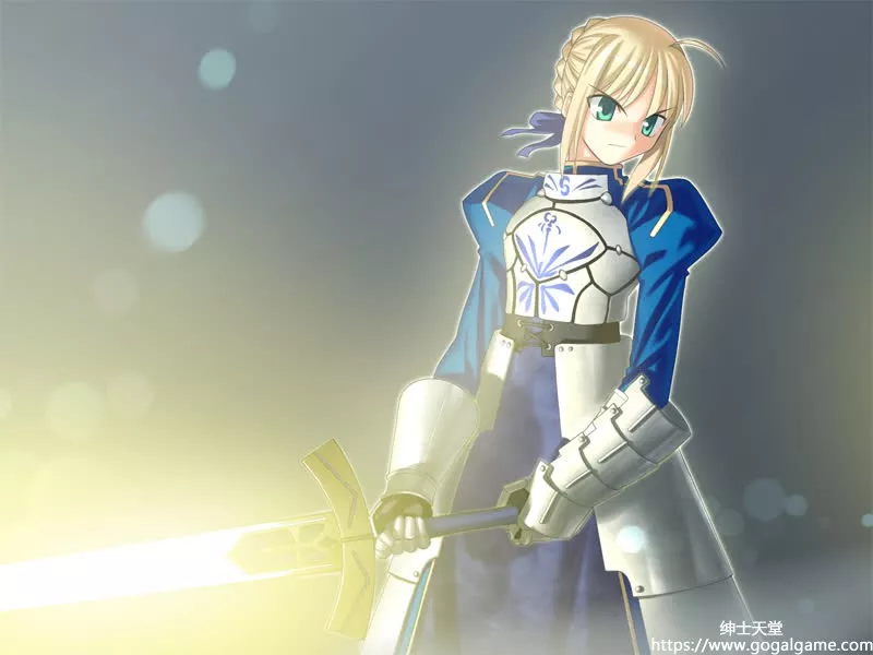 [TYPE-MOON] Fate stay night