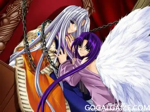 [Stack Software] 圣书外典