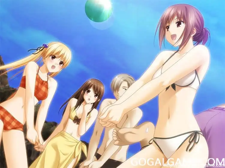 [bloomhandle] 波与波之间细波诊疗所