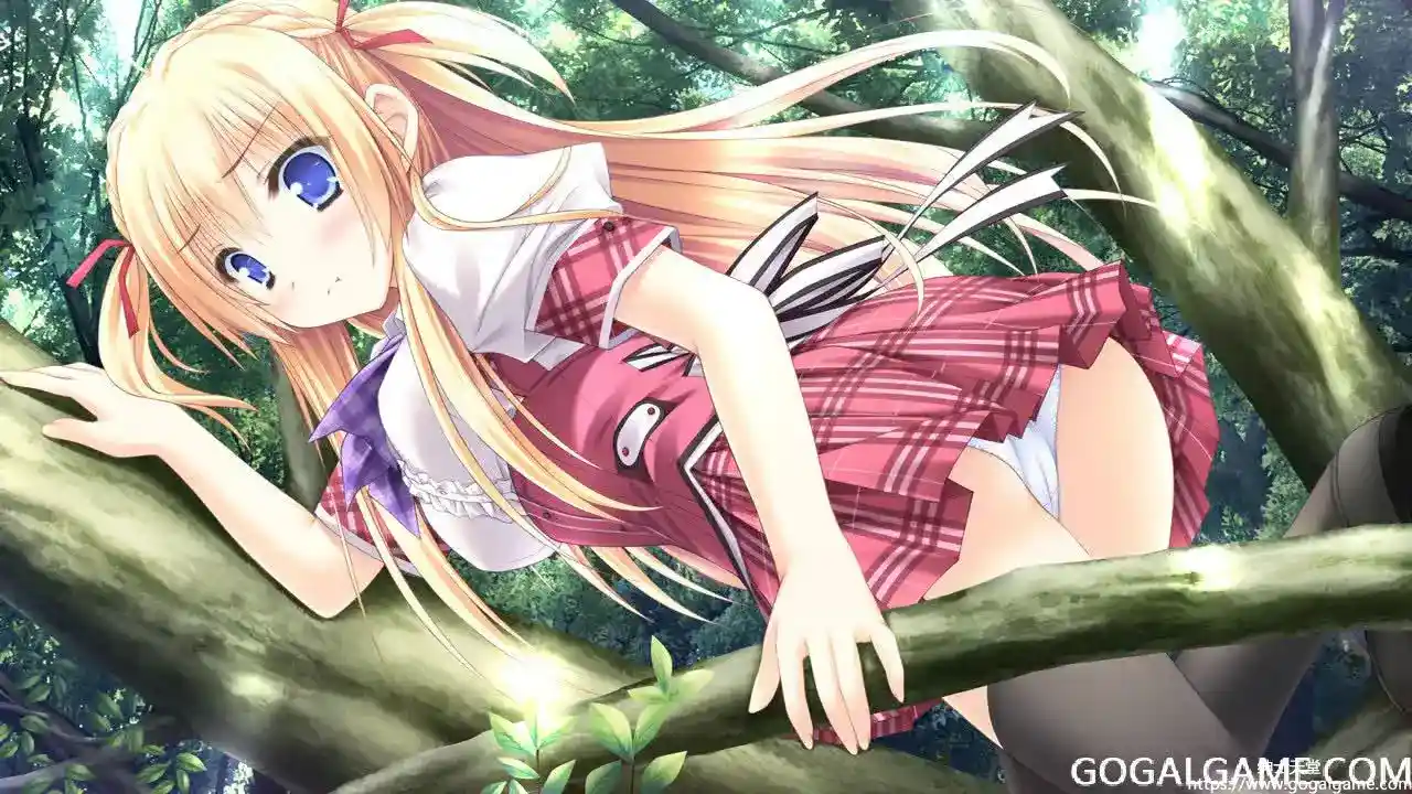 [Lump of Sugar] 花色七芒星