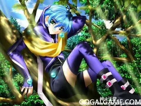 [Stack Software] 圣书外典