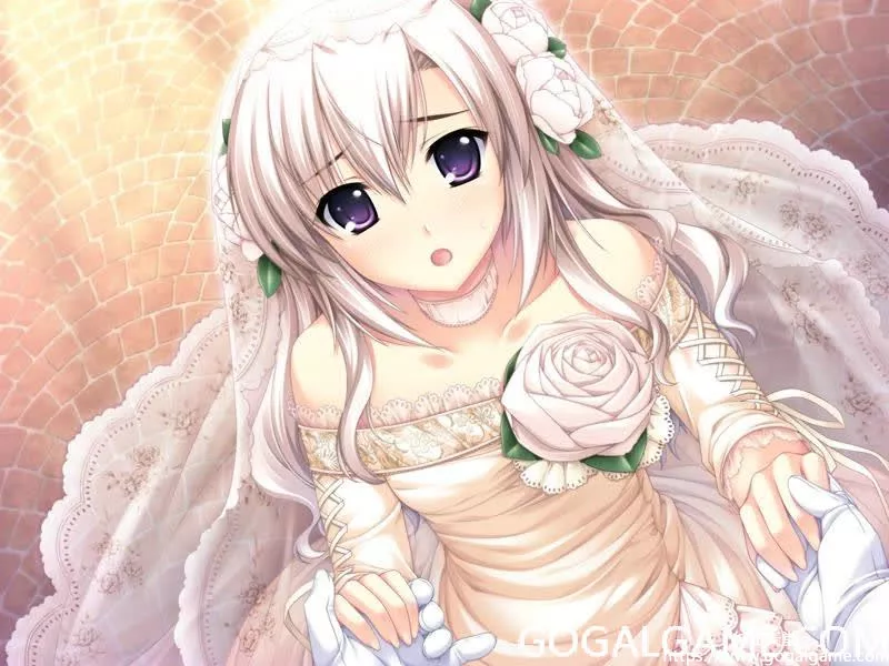 [Akabeesoft2] G线上的魔王