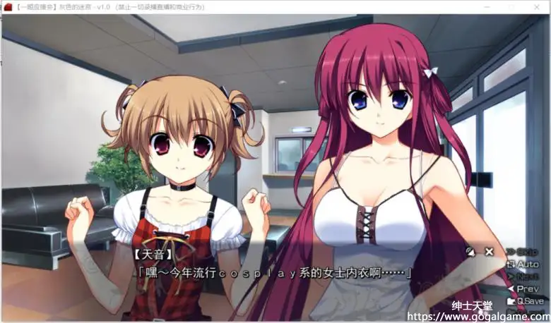 [FrontWing] 灰色的迷宫