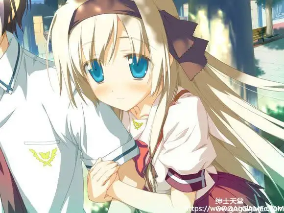 [FAVORITE] 星空的记忆 流星下的愿景