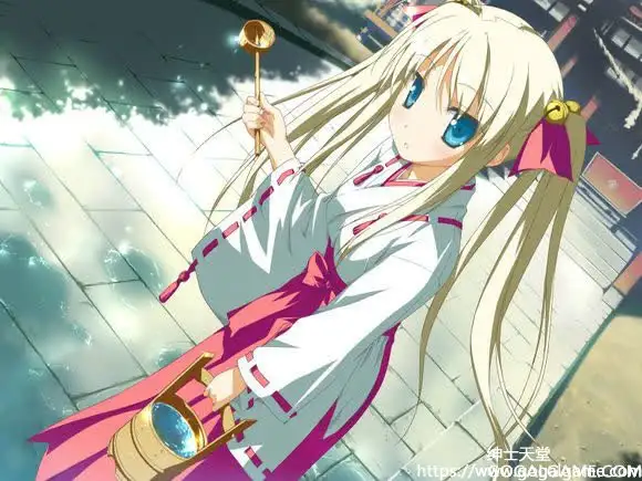 [FAVORITE] 星空的记忆 流星下的愿景