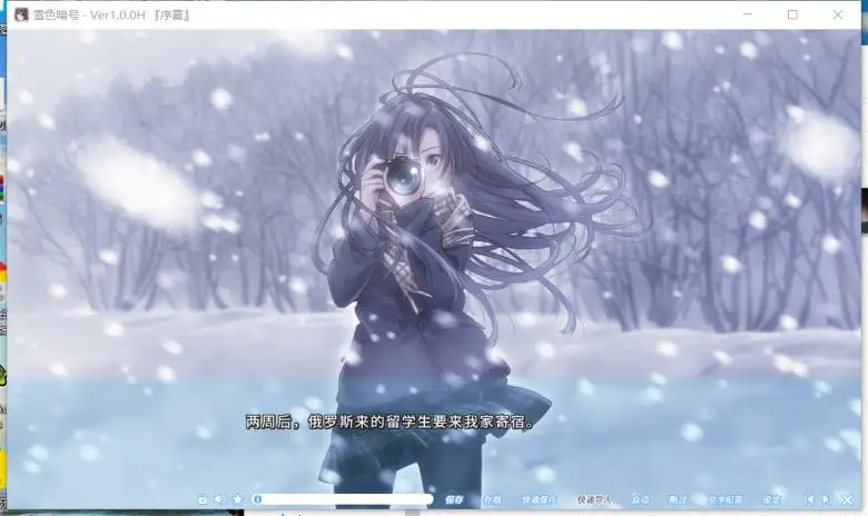 [Wonder Fool] 雪色暗号