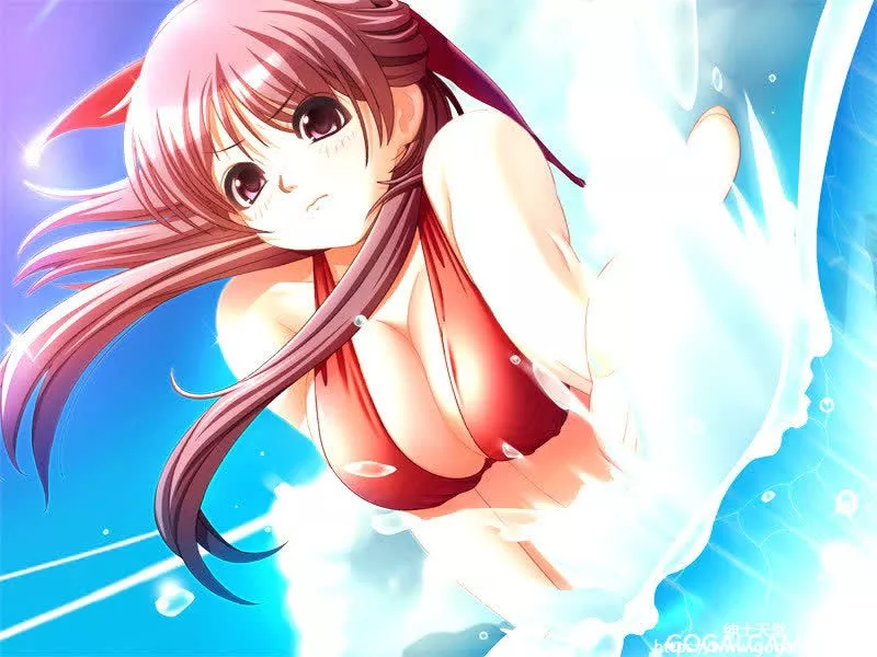 [HAIKUO-SOFT] 四叶草