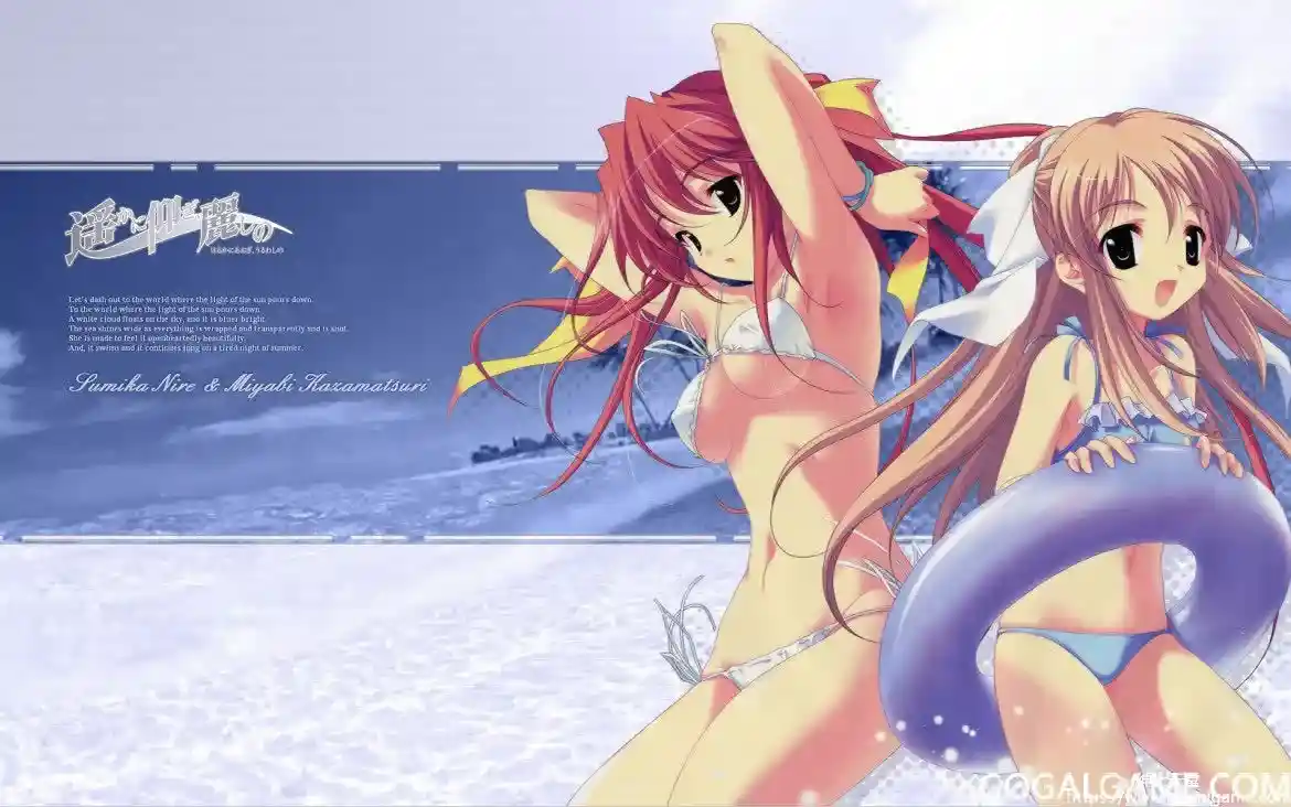 [PULLTOP] 遥仰凰华