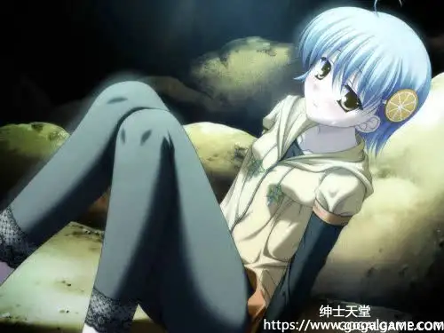 [F＆C・FC01] canvas3 白银的肖像