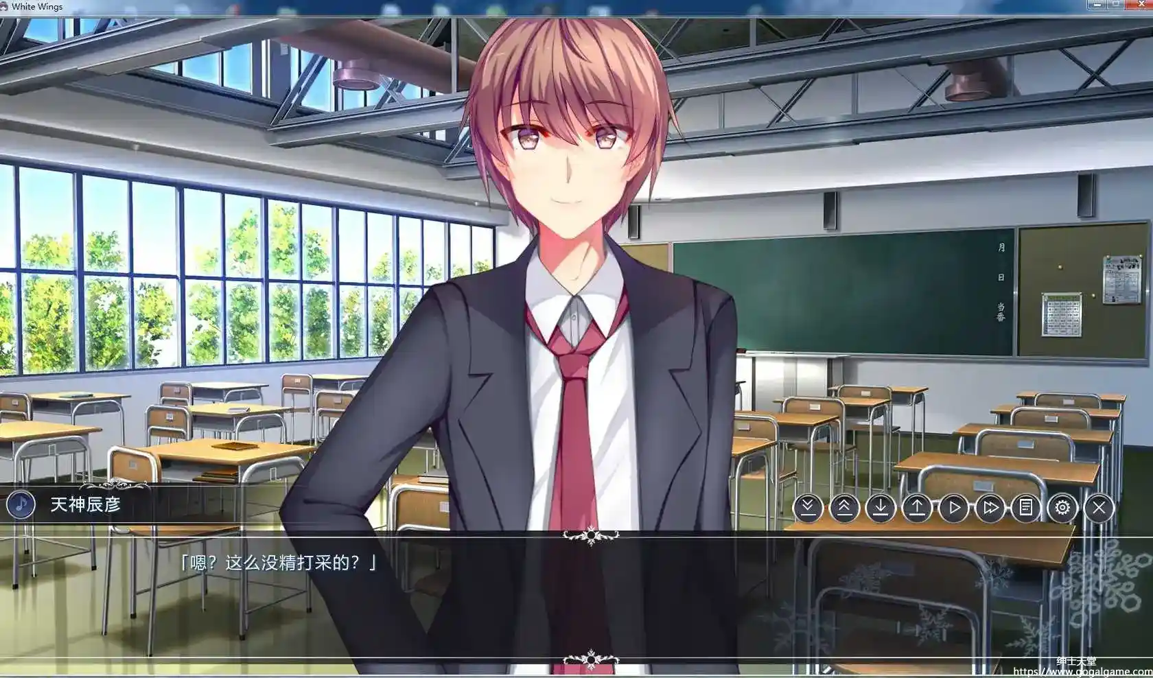 [Pureworks Japan] 白色之翼