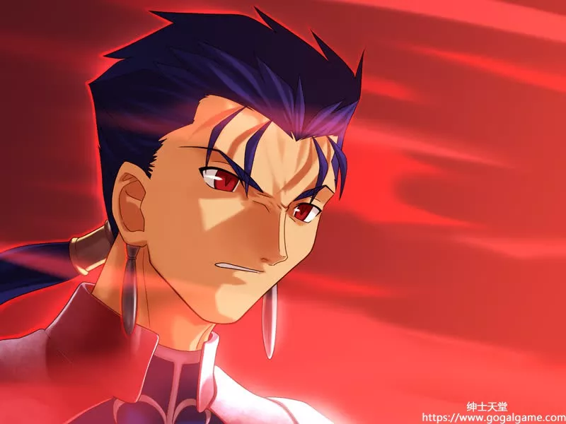 [TYPE-MOON] Fate stay night