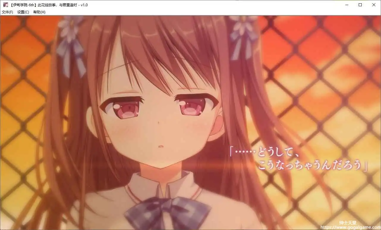 [Campus]此花绽放季，与君重逢时