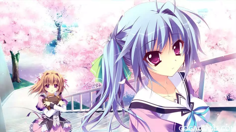 [Palette] 恋花绽放樱飞时