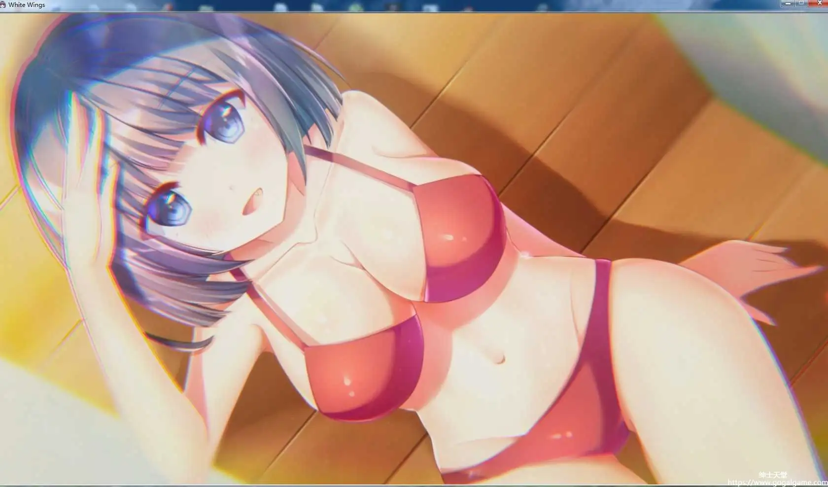 [Pureworks Japan] 白色之翼