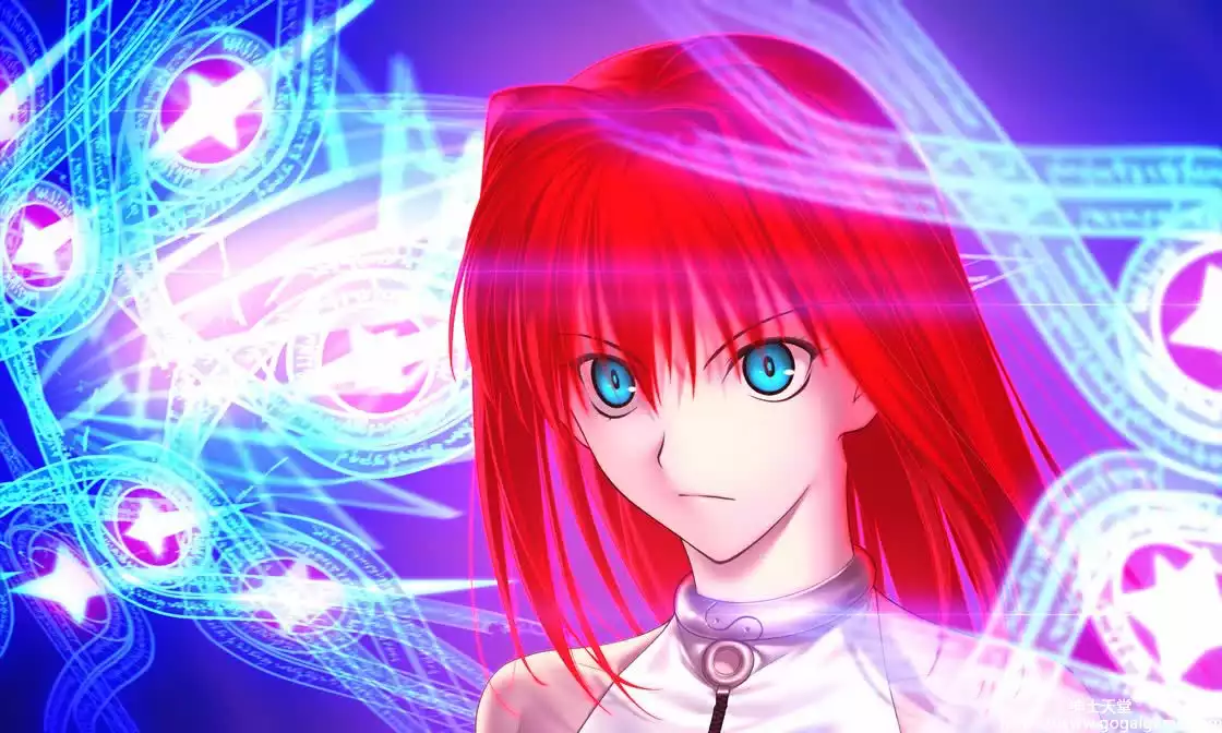 [TYPE-MOON] 魔法使之夜