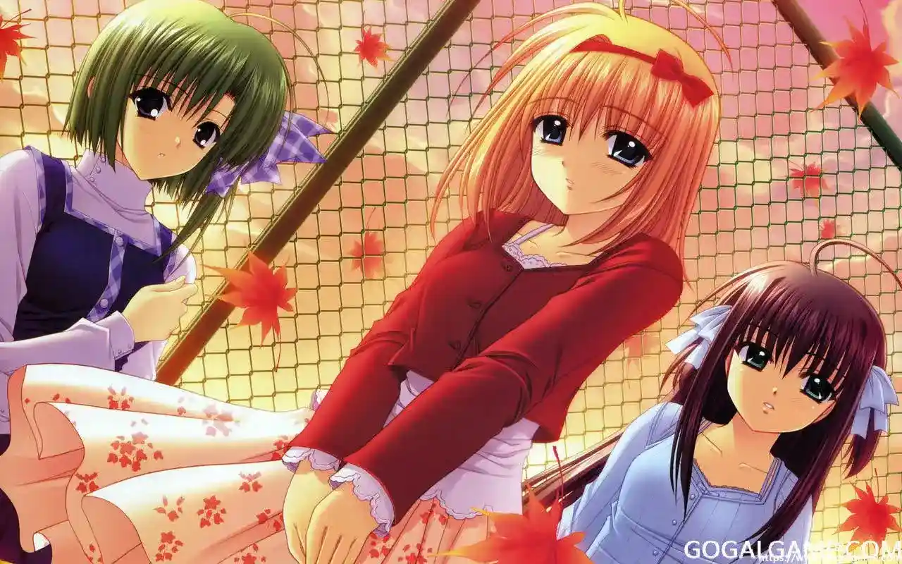 [Navel-Basil] ReallyReally