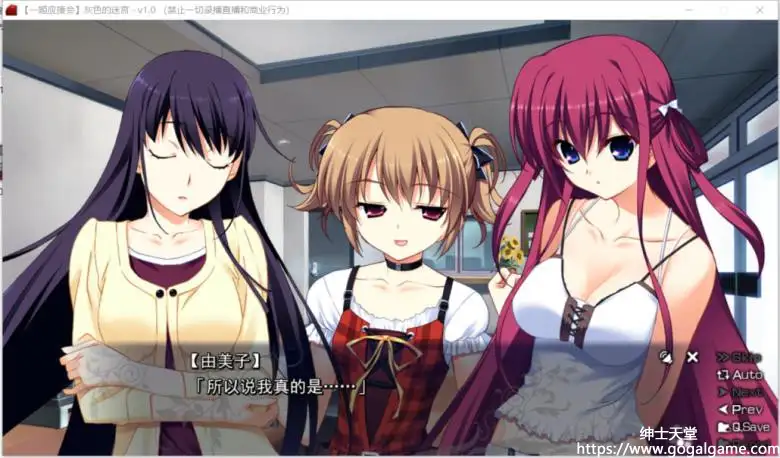 [FrontWing] 灰色的迷宫